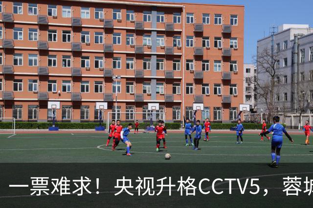 一票难求！央视升格CCTV5，蓉城打平即夺冠，韦世豪4场停赛告别赛季