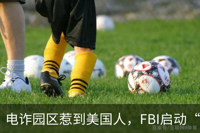 电诈园区惹到美国人，FBI启动“断电行动”，对电诈园区彻底开战