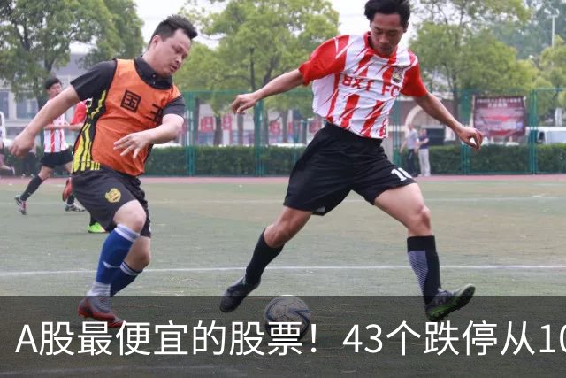 A股最便宜的股票！43个跌停从106元跌到0.07元，韭菜直接连根拔起